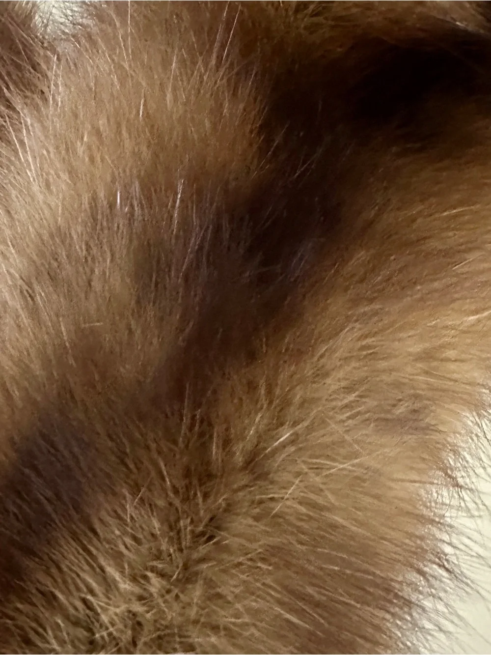 Classic Brown Mink Fur Collar - Luxurious Women’s Accessory